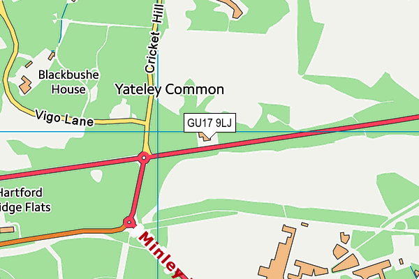 GU17 9LJ map - OS VectorMap District (Ordnance Survey) GU17 9LJ map - OS VectorMap District (Ordnance Survey)