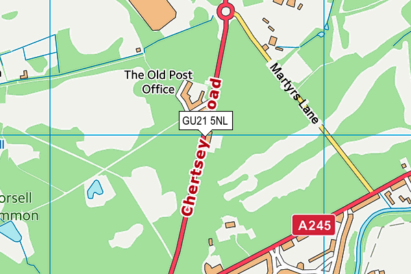 GU21 5NL map - OS VectorMap District (Ordnance Survey) GU21 5NL map - OS VectorMap District (Ordnance Survey)
