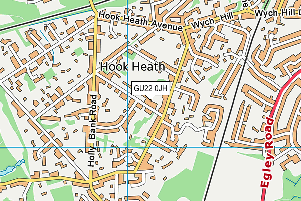 GU22 0JH map - OS VectorMap District (Ordnance Survey) GU22 0JH map - OS VectorMap District (Ordnance Survey)