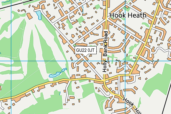 GU22 0JT map - OS VectorMap District (Ordnance Survey) GU22 0JT map - OS VectorMap District (Ordnance Survey)