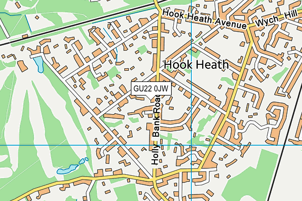 GU22 0JW map - OS VectorMap District (Ordnance Survey) GU22 0JW map - OS VectorMap District (Ordnance Survey)