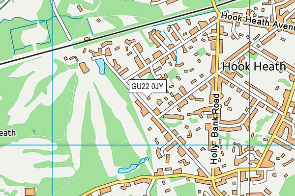 GU22 0JY map - OS VectorMap District (Ordnance Survey) GU22 0JY map - OS VectorMap District (Ordnance Survey)