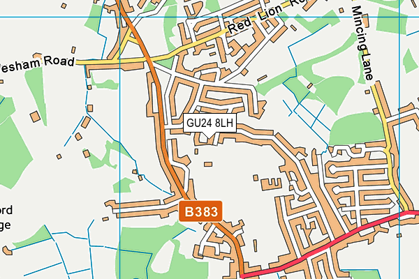 GU24 8LH map - OS VectorMap District (Ordnance Survey) GU24 8LH map - OS VectorMap District (Ordnance Survey)