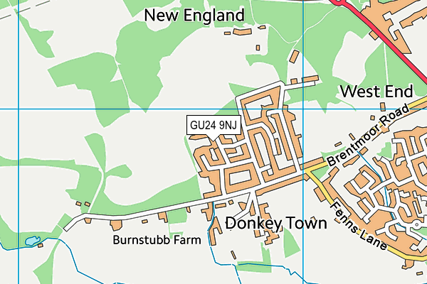 GU24 9NJ map - OS VectorMap District (Ordnance Survey) GU24 9NJ map - OS VectorMap District (Ordnance Survey)