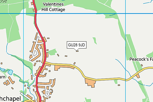 GU28 9JD map - OS VectorMap District (Ordnance Survey) GU28 9JD map - OS VectorMap District (Ordnance Survey)