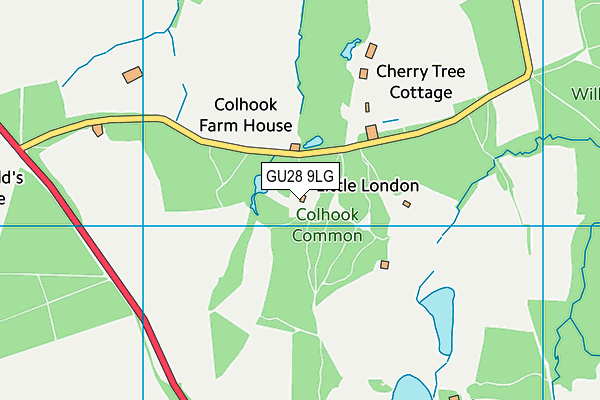 GU28 9LG map - OS VectorMap District (Ordnance Survey) GU28 9LG map - OS VectorMap District (Ordnance Survey)