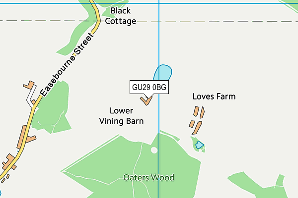 GU29 0BG map - OS VectorMap District (Ordnance Survey) GU29 0BG map - OS VectorMap District (Ordnance Survey)