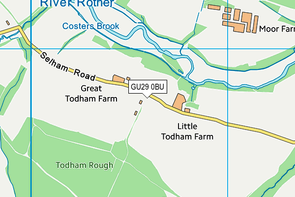 GU29 0BU map - OS VectorMap District (Ordnance Survey) GU29 0BU map - OS VectorMap District (Ordnance Survey)