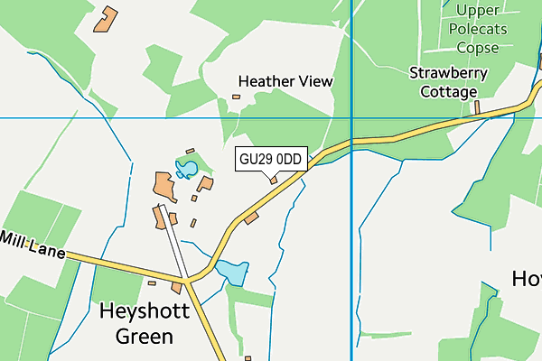 GU29 0DD map - OS VectorMap District (Ordnance Survey) GU29 0DD map - OS VectorMap District (Ordnance Survey)