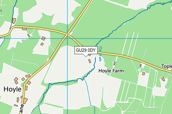 GU29 0DY map - OS VectorMap District (Ordnance Survey) GU29 0DY map - OS VectorMap District (Ordnance Survey)