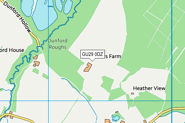 GU29 0DZ map - OS VectorMap District (Ordnance Survey) GU29 0DZ map - OS VectorMap District (Ordnance Survey)