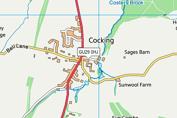 GU29 0HJ map - OS VectorMap District (Ordnance Survey) GU29 0HJ map - OS VectorMap District (Ordnance Survey)