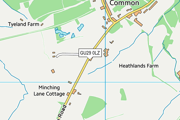 GU29 0LZ map - OS VectorMap District (Ordnance Survey) GU29 0LZ map - OS VectorMap District (Ordnance Survey)