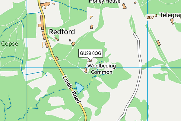 GU29 0QG map - OS VectorMap District (Ordnance Survey) GU29 0QG map - OS VectorMap District (Ordnance Survey)