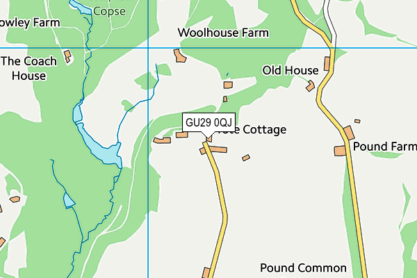 GU29 0QJ map - OS VectorMap District (Ordnance Survey) GU29 0QJ map - OS VectorMap District (Ordnance Survey)