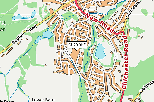 GU29 9HE map - OS VectorMap District (Ordnance Survey) GU29 9HE map - OS VectorMap District (Ordnance Survey)