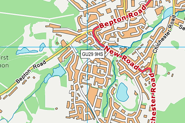 GU29 9HS map - OS VectorMap District (Ordnance Survey)