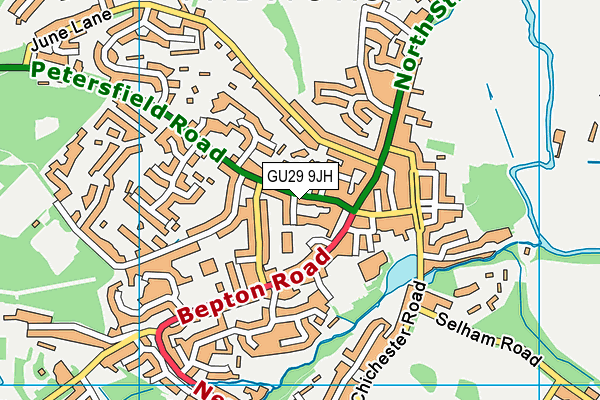 GU29 9JH map - OS VectorMap District (Ordnance Survey) GU29 9JH map - OS VectorMap District (Ordnance Survey)