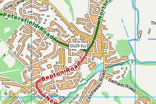 GU29 9JJ map - OS VectorMap District (Ordnance Survey) GU29 9JJ map - OS VectorMap District (Ordnance Survey)