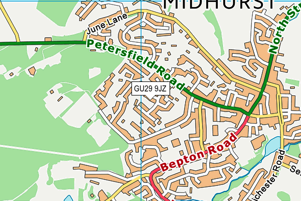 GU29 9JZ map - OS VectorMap District (Ordnance Survey) GU29 9JZ map - OS VectorMap District (Ordnance Survey)