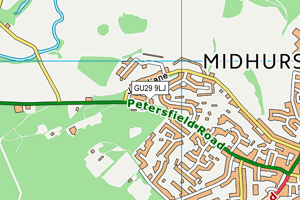 GU29 9LJ map - OS VectorMap District (Ordnance Survey) GU29 9LJ map - OS VectorMap District (Ordnance Survey)