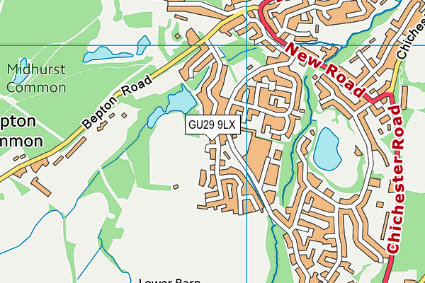 GU29 9LX map - OS VectorMap District (Ordnance Survey) GU29 9LX map - OS VectorMap District (Ordnance Survey)