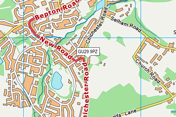 GU29 9PZ map - OS VectorMap District (Ordnance Survey)