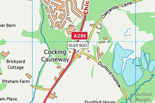GU29 9QG map - OS VectorMap District (Ordnance Survey) GU29 9QG map - OS VectorMap District (Ordnance Survey)