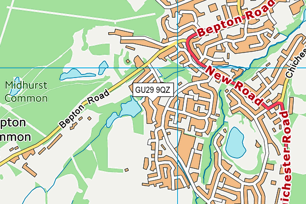 GU29 9QZ map - OS VectorMap District (Ordnance Survey) GU29 9QZ map - OS VectorMap District (Ordnance Survey)