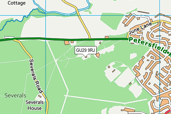 GU29 9RJ map - OS VectorMap District (Ordnance Survey) GU29 9RJ map - OS VectorMap District (Ordnance Survey)
