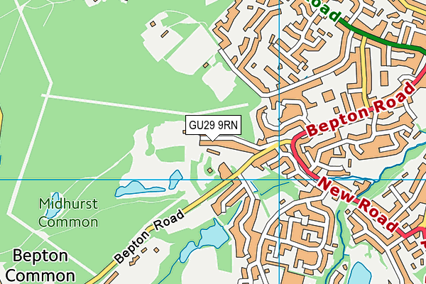 GU29 9RN map - OS VectorMap District (Ordnance Survey) GU29 9RN map - OS VectorMap District (Ordnance Survey)