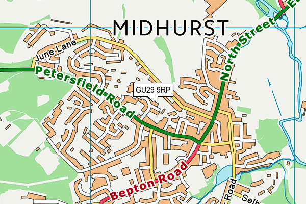 GU29 9RP map - OS VectorMap District (Ordnance Survey) GU29 9RP map - OS VectorMap District (Ordnance Survey)