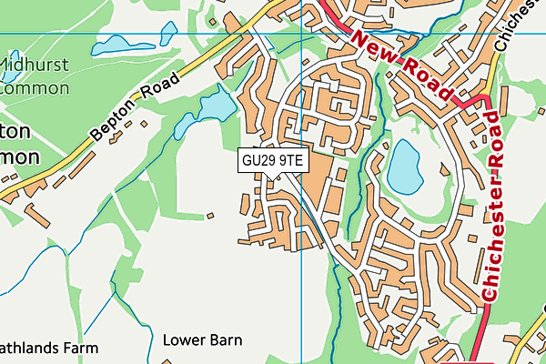 GU29 9TE map - OS VectorMap District (Ordnance Survey) GU29 9TE map - OS VectorMap District (Ordnance Survey)
