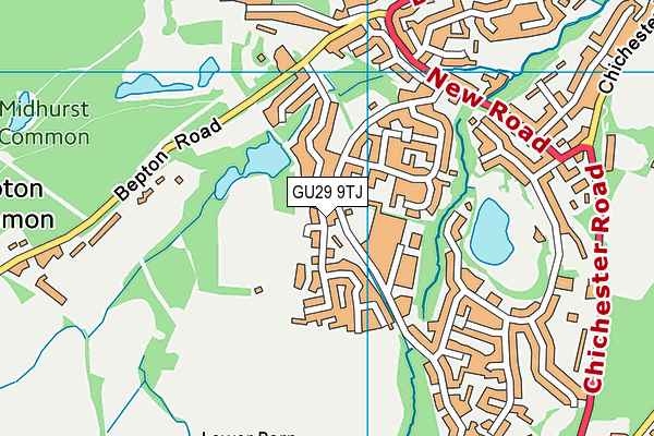 GU29 9TJ map - OS VectorMap District (Ordnance Survey) GU29 9TJ map - OS VectorMap District (Ordnance Survey)