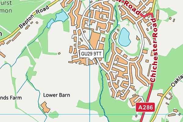 GU29 9TT map - OS VectorMap District (Ordnance Survey) GU29 9TT map - OS VectorMap District (Ordnance Survey)