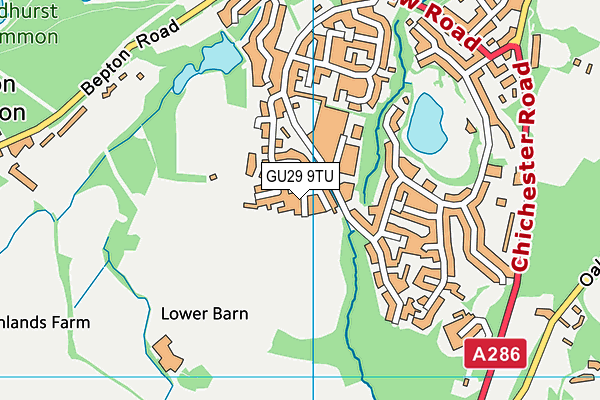 GU29 9TU map - OS VectorMap District (Ordnance Survey) GU29 9TU map - OS VectorMap District (Ordnance Survey)
