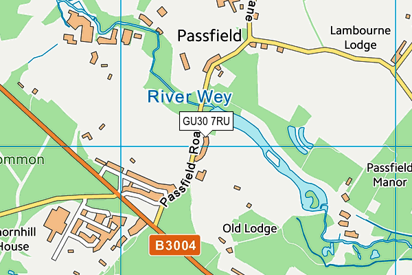 GU30 7RU map - OS VectorMap District (Ordnance Survey) GU30 7RU map - OS VectorMap District (Ordnance Survey)