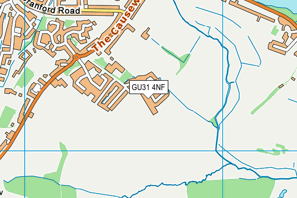 GU31 4NF map - OS VectorMap District (Ordnance Survey) GU31 4NF map - OS VectorMap District (Ordnance Survey)