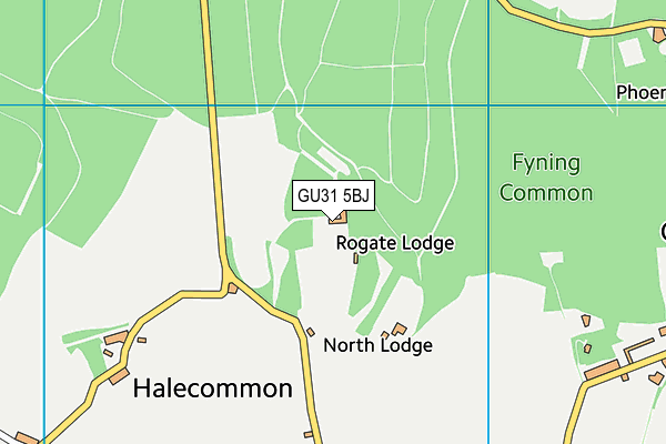 GU31 5BJ map - OS VectorMap District (Ordnance Survey) GU31 5BJ map - OS VectorMap District (Ordnance Survey)