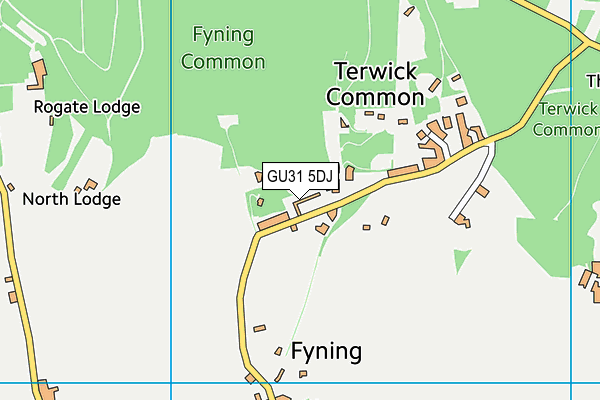 GU31 5DJ map - OS VectorMap District (Ordnance Survey) GU31 5DJ map - OS VectorMap District (Ordnance Survey)