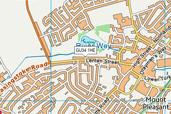 GU34 1HE map - OS VectorMap District (Ordnance Survey)