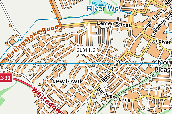 GU34 1JG map - OS VectorMap District (Ordnance Survey) GU34 1JG map - OS VectorMap District (Ordnance Survey)