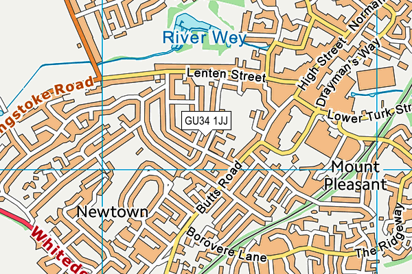 GU34 1JJ map - OS VectorMap District (Ordnance Survey) GU34 1JJ map - OS VectorMap District (Ordnance Survey)