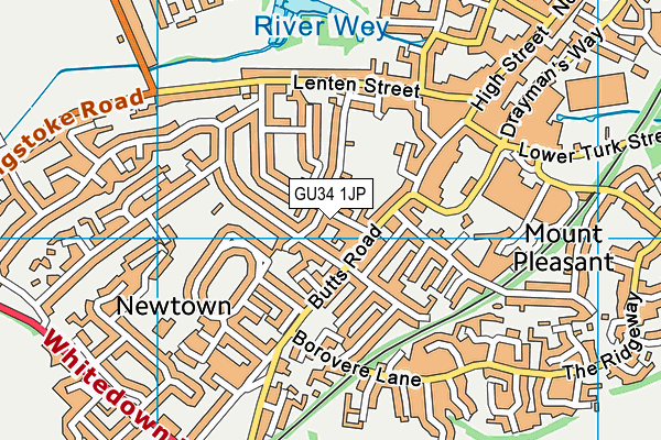 GU34 1JP map - OS VectorMap District (Ordnance Survey)