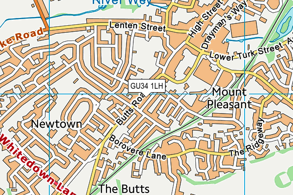 GU34 1LH map - OS VectorMap District (Ordnance Survey) GU34 1LH map - OS VectorMap District (Ordnance Survey)