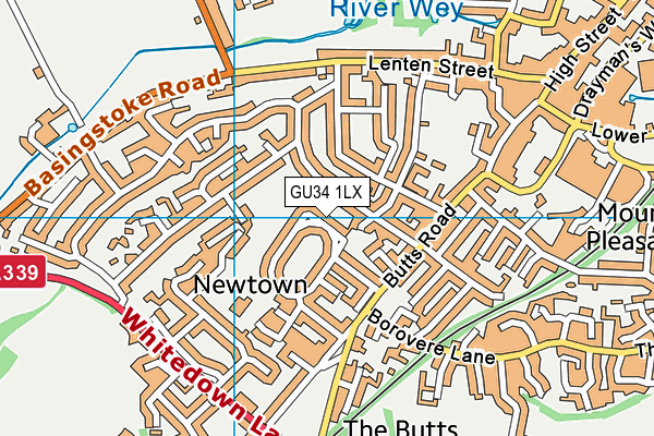GU34 1LX map - OS VectorMap District (Ordnance Survey) GU34 1LX map - OS VectorMap District (Ordnance Survey)
