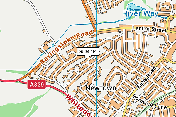 GU34 1PJ map - OS VectorMap District (Ordnance Survey) GU34 1PJ map - OS VectorMap District (Ordnance Survey)