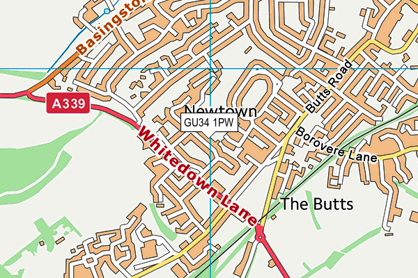 GU34 1PW map - OS VectorMap District (Ordnance Survey)