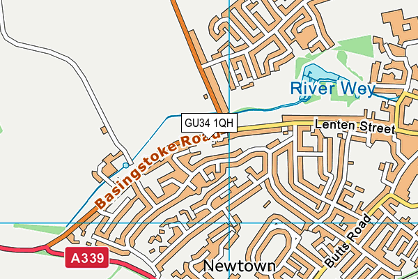 GU34 1QH map - OS VectorMap District (Ordnance Survey) GU34 1QH map - OS VectorMap District (Ordnance Survey)