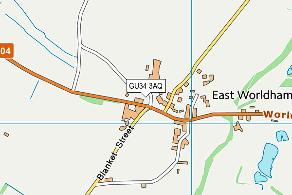 GU34 3AQ map - OS VectorMap District (Ordnance Survey) GU34 3AQ map - OS VectorMap District (Ordnance Survey)